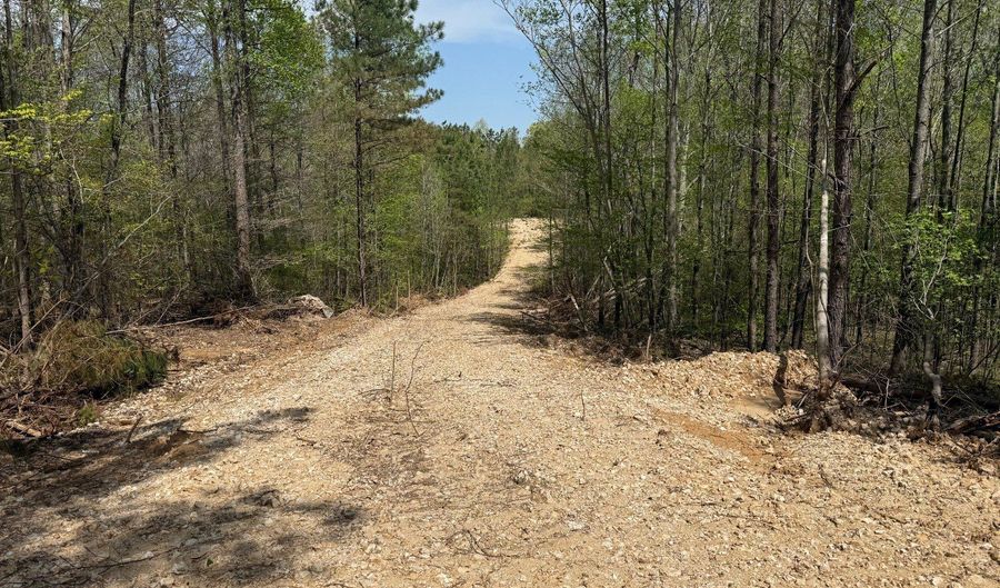 000 Fowler Rd, Beech Bluff, TN 38313 - 0 Beds, 0 Bath