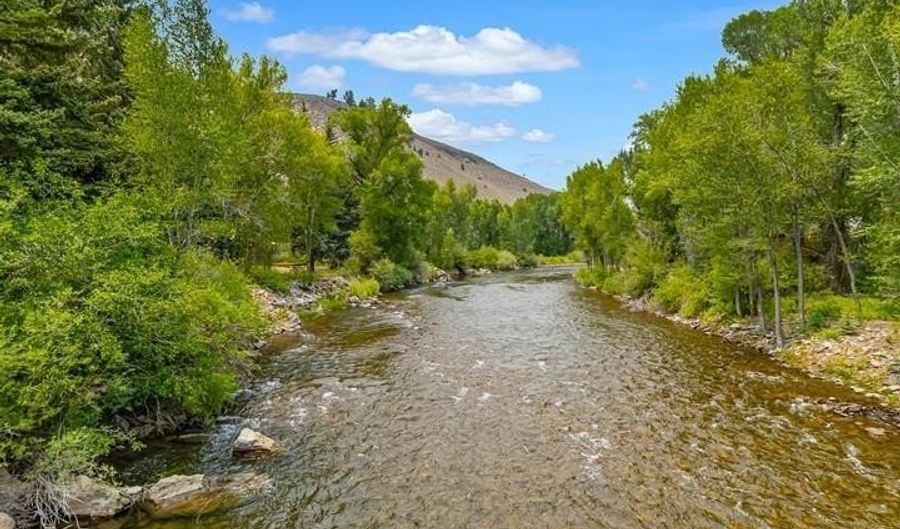 209 Deer Path Ln, Almont, CO 81230 - 5 Beds, 5 Bath