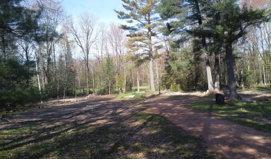 N10595 HWY 45, Aniwa, WI 54414 - 0 Beds, 0 Bath