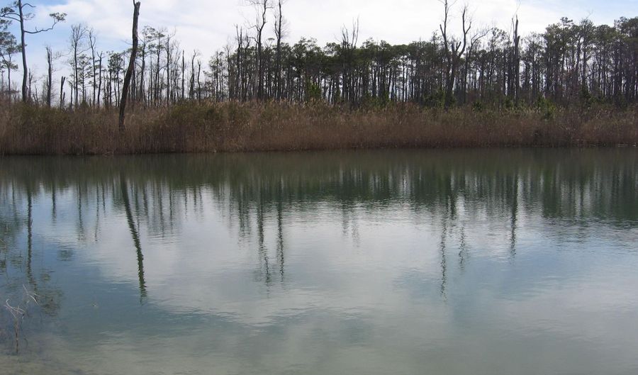 4161 Caratoke Hwy, Barco, NC 27917 - 0 Beds, 0 Bath