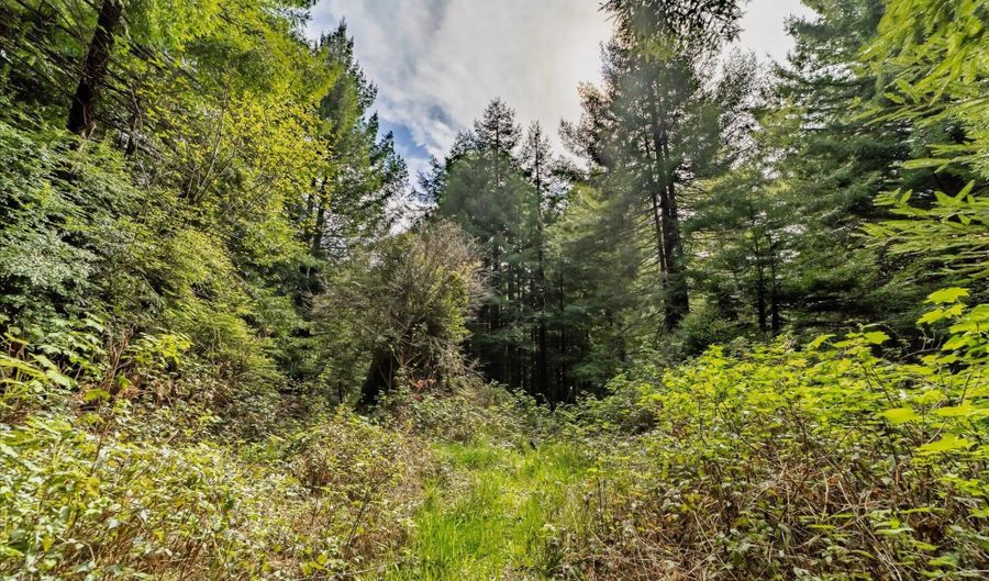 E 16th Street, Arcata, CA 95521 - 0 Beds, 0 Bath