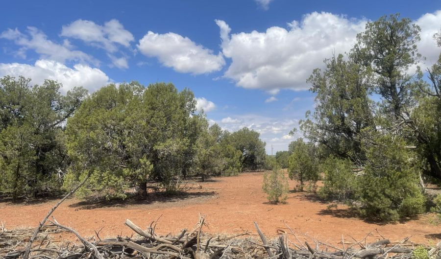 4934 Elk Trail Rd, Clay Springs, AZ 85923 - 0 Beds, 0 Bath