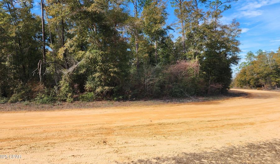 Breese Court lot 29, Alford, FL 32420 - 0 Beds, 0 Bath