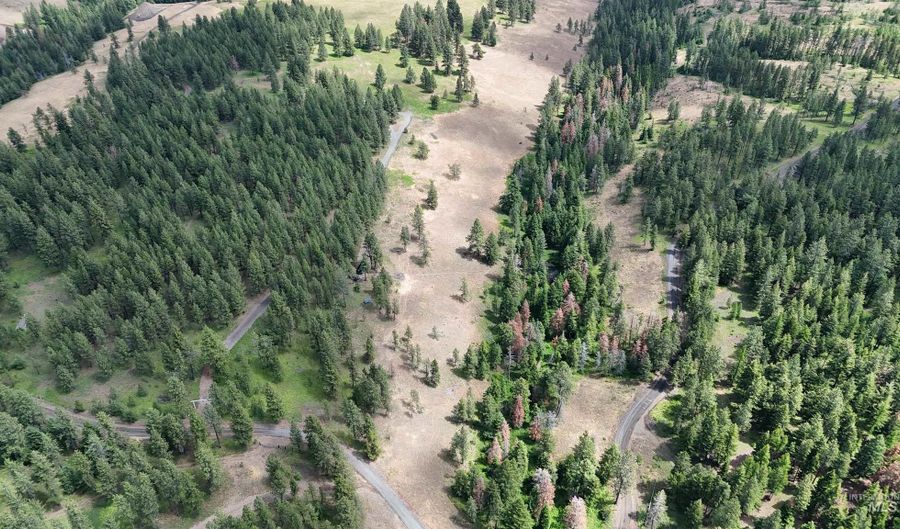 NNA Lots 23 And 24 Cloverland Estates, Asotin, WA 99402 - 0 Beds, 0 Bath