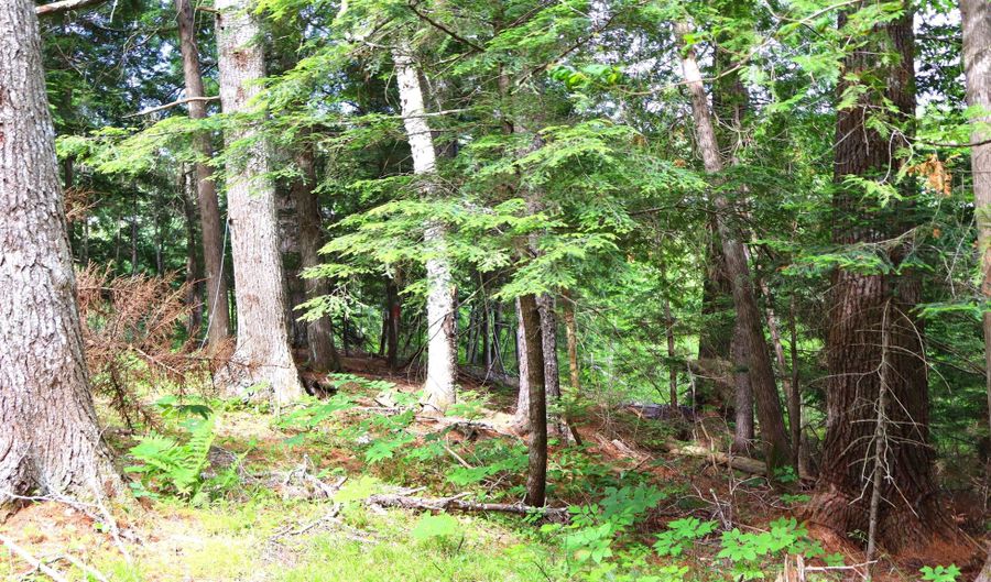 M2l51 52 Airline Road, Amherst, ME 04605 - 0 Beds, 0 Bath