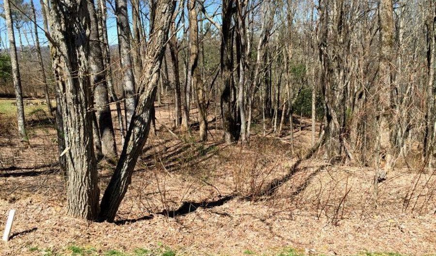 Lot 223 Dry Stack Way, Cashiers, NC 28717 - 0 Beds, 0 Bath