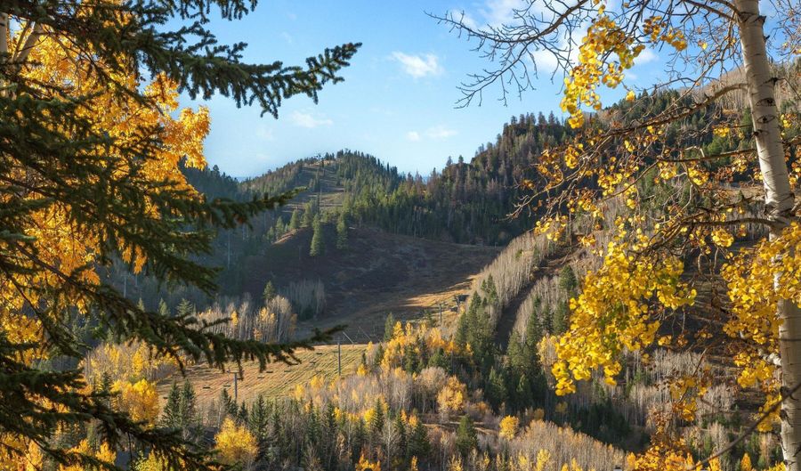 408 E Cooper Ave, Aspen, CO 81611 - 0 Beds, 0 Bath