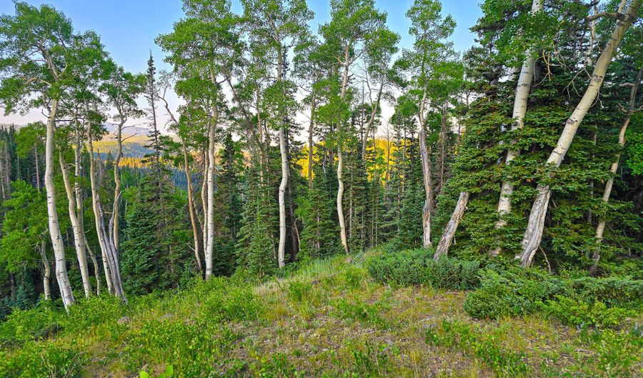 West Village, Beaver, UT 84713 - 0 Beds, 0 Bath