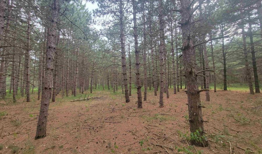 Lot 114 County Road Z, Arkdale, WI 54613 - 0 Beds, 0 Bath