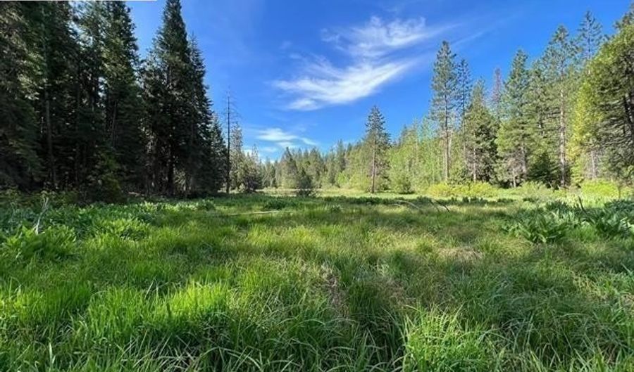 3805 The Jug Handle, Arnold, CA 95223 - 1 Beds, 1 Bath