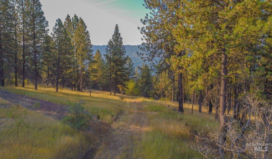 Summitview Dr, Ahsahka, ID 83520 - 0 Beds, 0 Bath