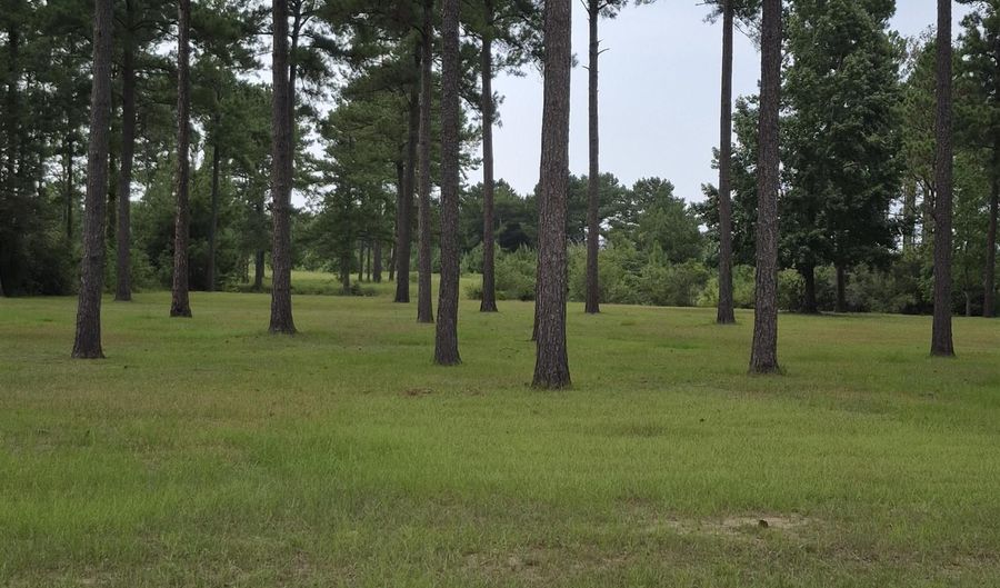 001 Bush Isle Rd, Andalusia, AL 36421 - 0 Beds, 0 Bath