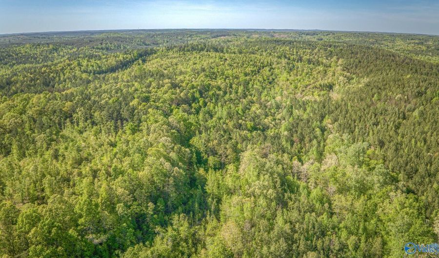 87 Acres Kay Hollis Rd, Beaverton, AL 35544 - 0 Beds, 0 Bath