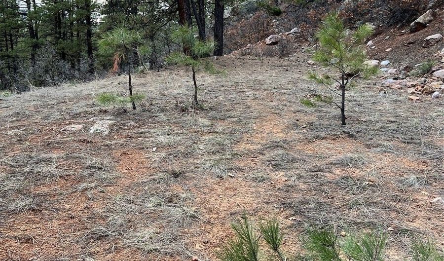 Lot R-56 private dr, Chama, NM 87520 - 0 Beds, 0 Bath