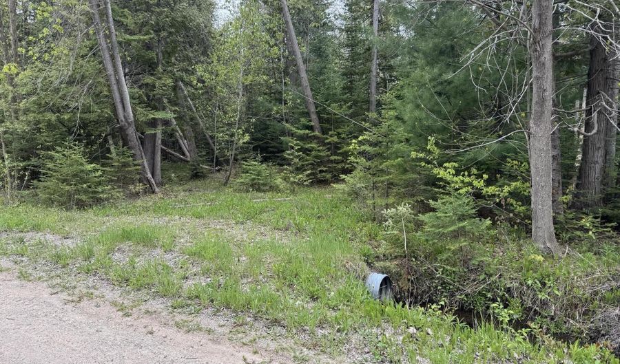 W M-68, Alanson, MI 49706 - 0 Beds, 0 Bath