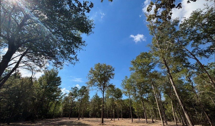 0 Harris Rd Tract 7, Albany, LA 70711 - 0 Beds, 0 Bath