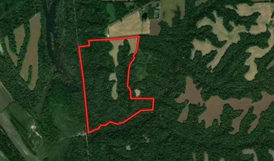 Sandy Branch Road, Bardwell, KY 42023 - 0 Beds, 0 Bath