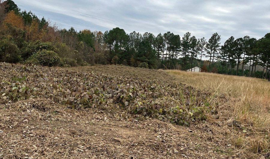 0 Liverman Mill Rd, Ahoskie, NC 27910 - 0 Beds, 0 Bath