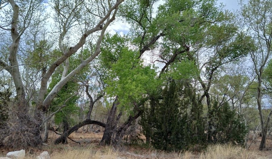 3710 S Clearwater Dr, Camp Verde, AZ 86322 - 0 Beds, 0 Bath