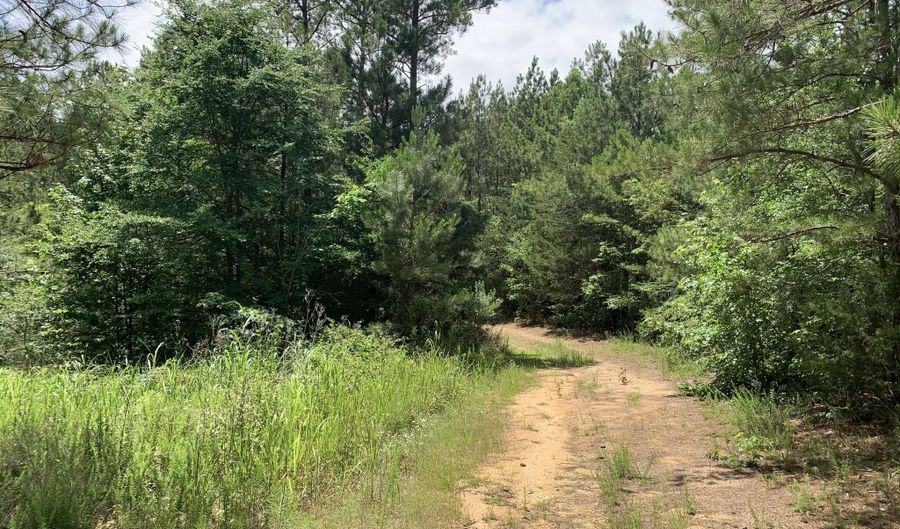 Na Metasville Road, Lincolnton, GA 30817 - 0 Beds, 0 Bath