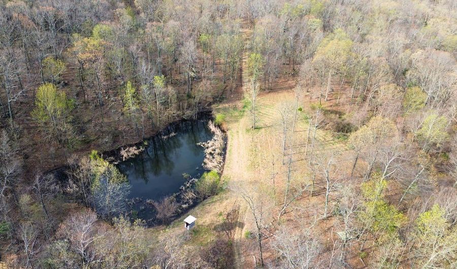 Cr 921, Alpena, AR 72611 - 0 Beds, 0 Bath