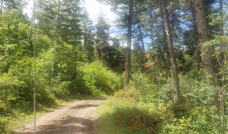 Arlee Pines lot 20, Arlee, MT 59821 - 0 Beds, 0 Bath