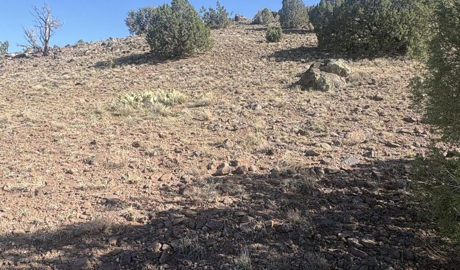 478 N8521, Concho, AZ 85924 - 0 Beds, 0 Bath