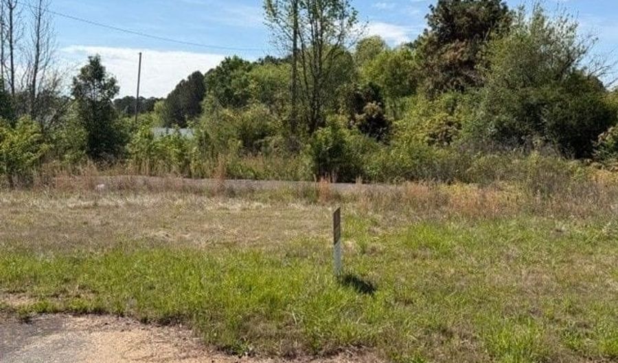 7704 State Rte 140 # MCKENZIE Blvd, Adairsville, GA 30103 - 0 Beds, 0 Bath