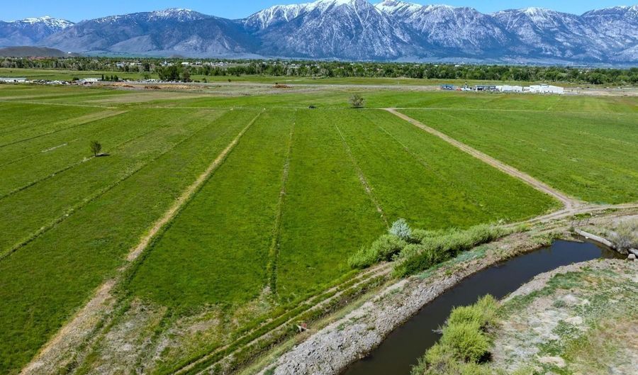 Pinenut Road, Gardnerville, NV 89410 - 0 Beds, 0 Bath