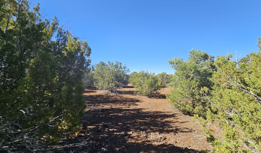 21 Co Rd 8032 # 8032, Concho, AZ 85924 - 0 Beds, 0 Bath