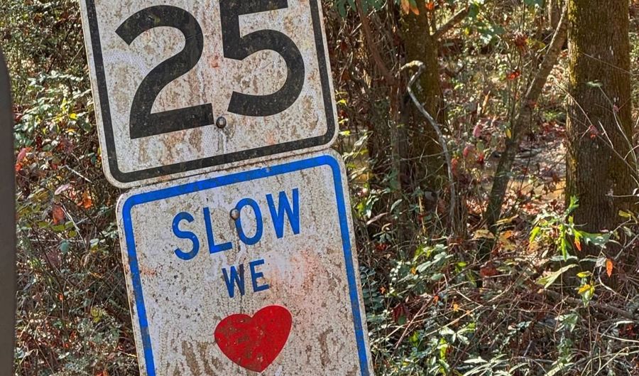 0 County Road 25, Reform, AL 35481 - 0 Beds, 0 Bath