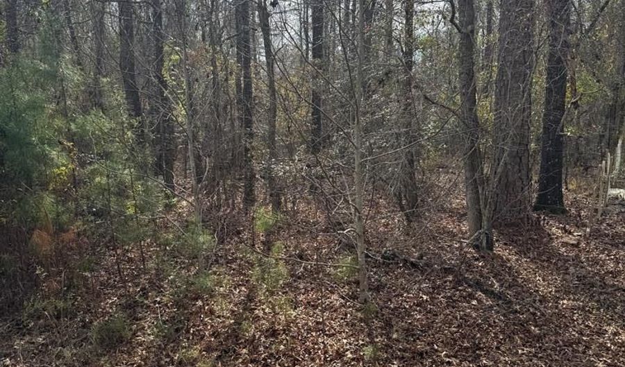 Singer Ln, Abbeville, AL 36310 - 0 Beds, 0 Bath