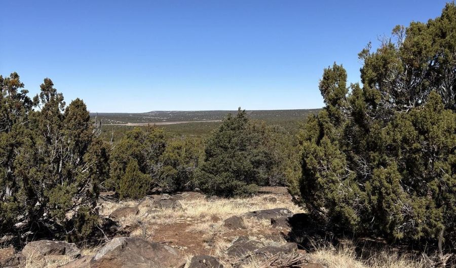 30 County Rd, Concho, AZ 85924 - 0 Beds, 0 Bath