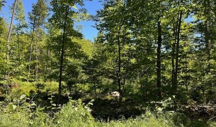 Lot 045 Sawyer Notch Road, Andover, ME 04216 - 0 Beds, 0 Bath