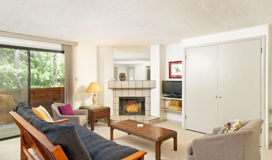 935 E Hopkins Ave 6, Aspen, CO 81611 - 0 Beds, 1 Bath