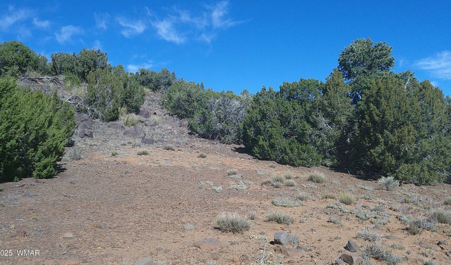 142 County Road 8020, Concho, AZ 85924 - 0 Beds, 0 Bath