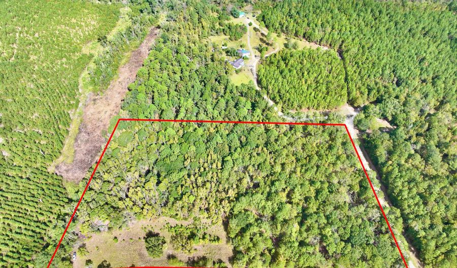 Eugene Ward Road, Adrian, GA 31002 - 0 Beds, 0 Bath