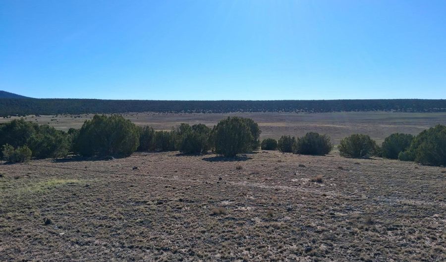 22 N 8171, Concho, AZ 85924 - 0 Beds, 0 Bath