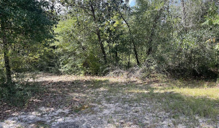 2355 Momence Ct, Alford, FL 32420 - 3 Beds, 2 Bath