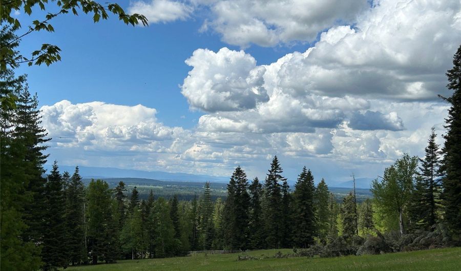 Nhn Black Wolf Trail, Bigfork, MT 59911 - 0 Beds, 0 Bath