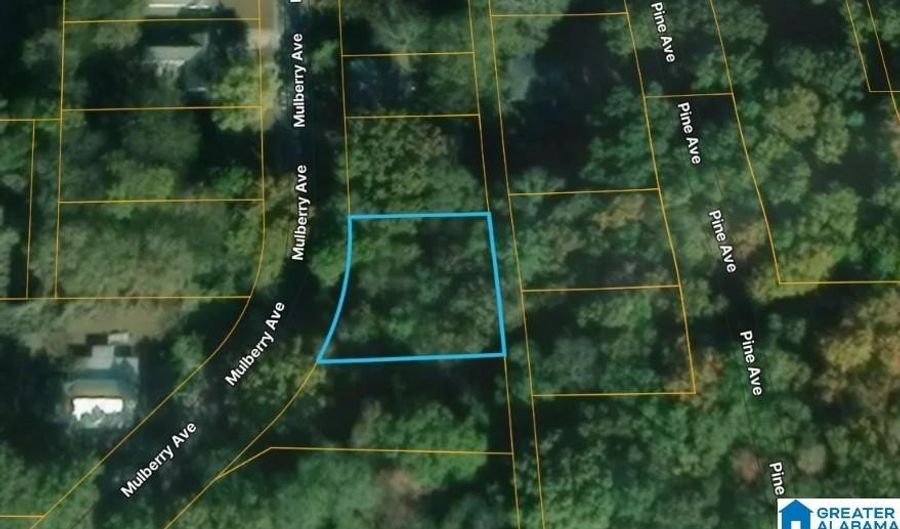 MULBERRY AVENUE, Anniston, AL 36201 - 0 Beds, 0 Bath