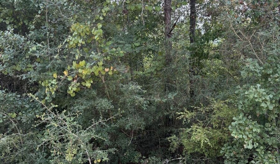 Grand Mesa Ave, Alford, FL 32420 - 0 Beds, 0 Bath