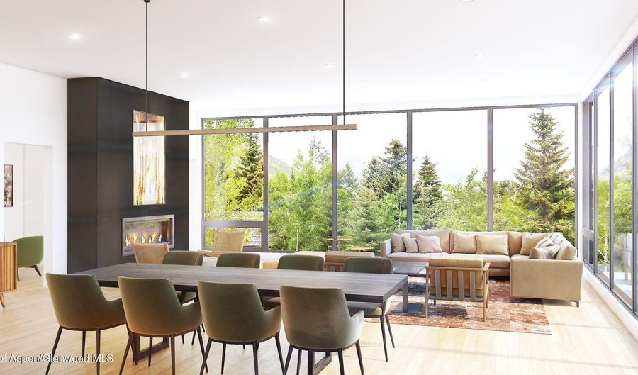 103 Willow Rd 203, Basalt, CO 81621 - 2 Beds, 2 Bath