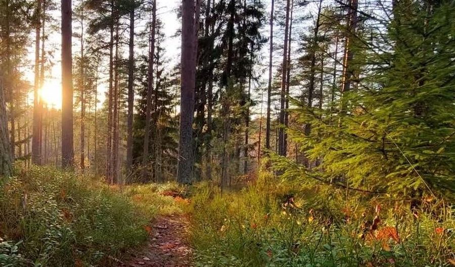 1605 Sterling Oaks Ct SE, Ada, MI 49301 - 0 Beds, 0 Bath