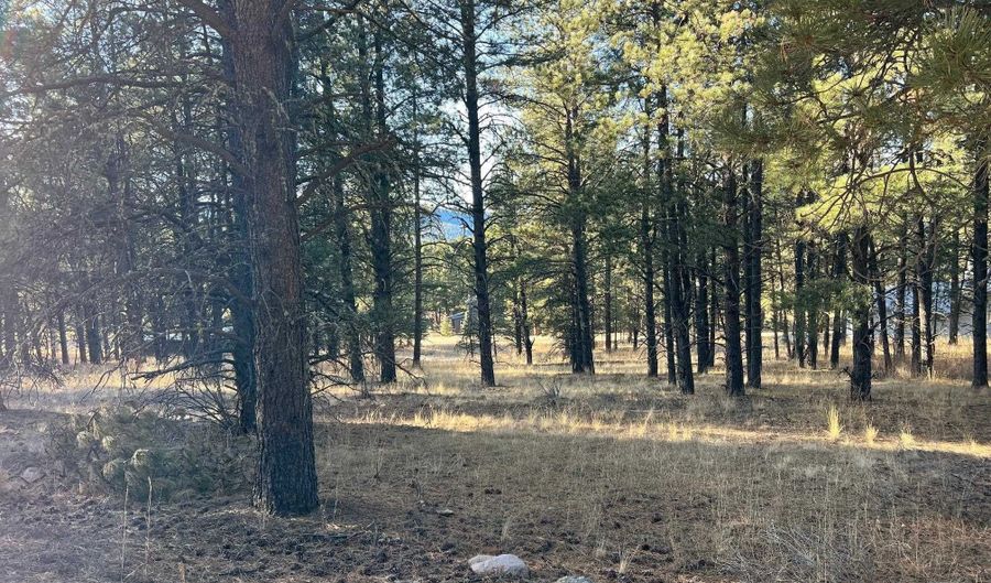 Jackson Hole lot 14, Angel Fire, NM 87710 - 0 Beds, 0 Bath