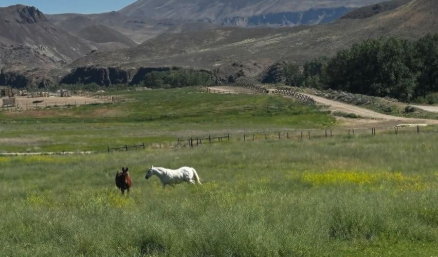6 Homestead Trl, Challis, ID 83226 - 0 Beds, 0 Bath