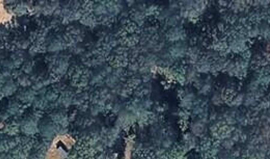 CR 1131, Booneville, MS 38829 - 0 Beds, 0 Bath