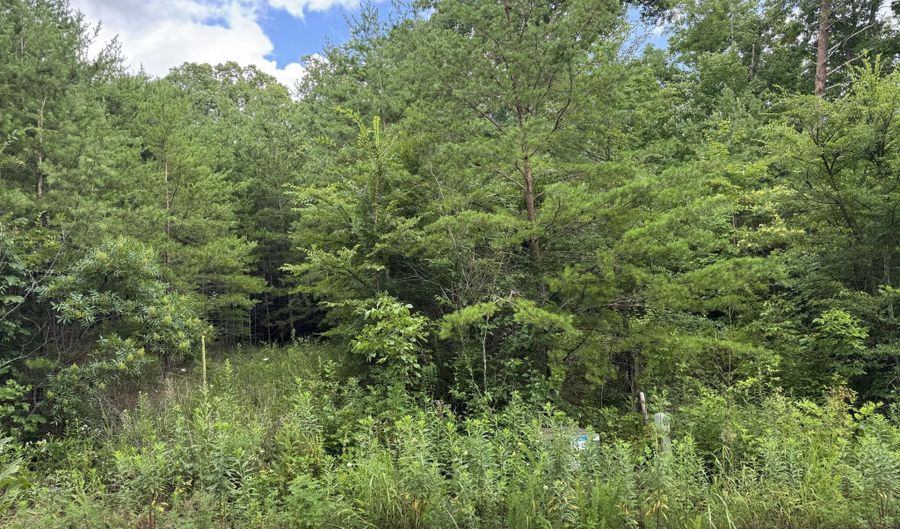 49 Bayside Blvd, Bean Station, TN 37708 - 0 Beds, 0 Bath