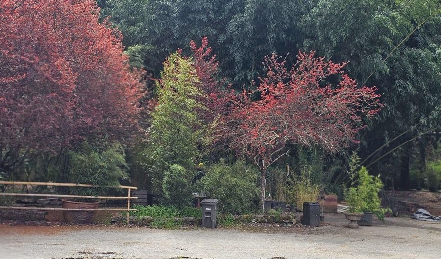 5601 Freedom Blvd, Aptos, CA 95003 - 0 Beds, 0 Bath