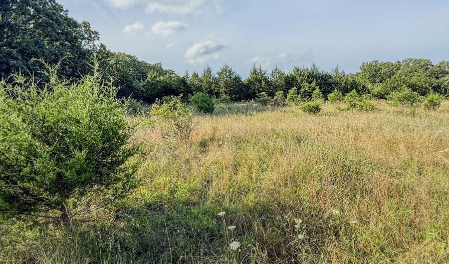 Co Rd 539, Ava, MO 65629 - 0 Beds, 0 Bath
